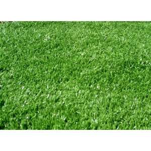   SYNTHETIC GRASS, 5.9WX23L (135 SQUARE FEET) Patio, Lawn & Garden