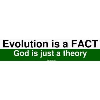  Evolution is a FACT God is just a theory Large Bumper 