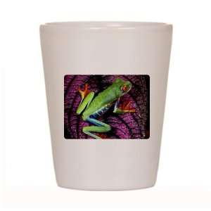  Shot Glass White of Red Eyed Tree Frog on Purple Leaf 