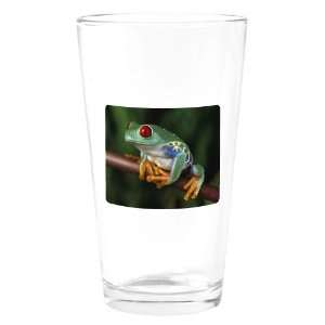  Pint Drinking Glass Red Eyed Tree Frog 