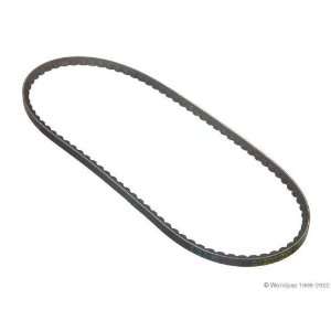  Conti W1002 33121   V Belt Automotive