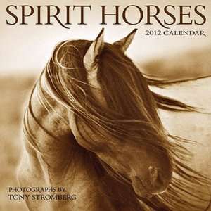   Spirit Horses Wall Calendar by Tony Stromberg, Amber Lotus Publishing