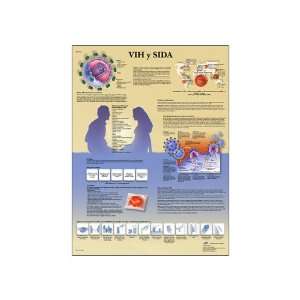3B Scientific VR1725UU Glossy Paper Hiv and Aids Anatomical Chart 