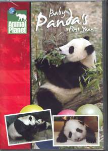 Giant PANDA Habitat   2007 Smithsonian National Zoo DVD  