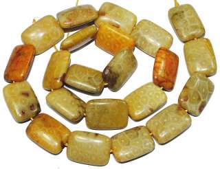 14x18mm Yellow Coral Fossil Oblong Gemstone 16  