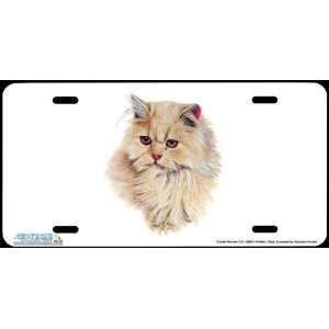 4264 Cream Persian Cat License Plate Car Auto Novelty Front Tag by 
