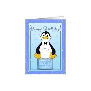  44th Birthday   Penguin on Ice Cool Birthday Facts Card 