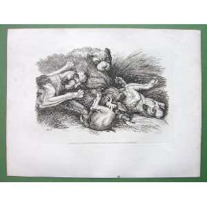 DOGS Hounds Attack Wild Boar   SCARCE Vintage Antique Copperplate 