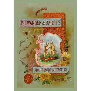  Vintage Art Ellwanger and Barrys General Catalogue 