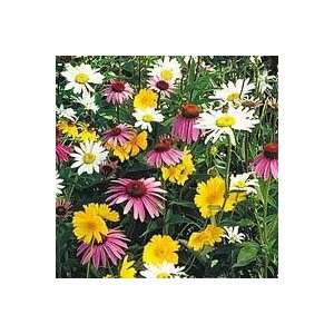  Partial Shade Seed Mix   By The Pound Patio, Lawn 