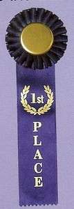 First 1st PLACE AWARD RIBBON ROSETTE EVENT Recognition Single Streamer 