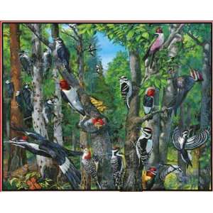  Woodpeckers   1000 Piece Puzzle, Common Varieties from 