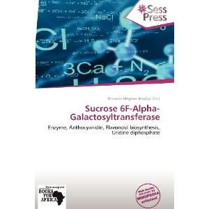   Galactosyltransferase (9786139365111) Blossom Meghan Jessalyn Books