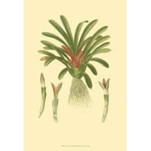  Tropical Karatas   Poster by Vision studio (13x19)
