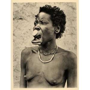  1930 African Musgu Woman Labrets Lip Plate Chad Africa 