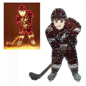  BSS   Phoenix Coyotes NHL Light Up Player Lawn Decoration 