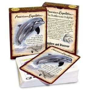 Bottlenose Dolphin Wildlife Animal Ocean Standard Poker Playing Card 