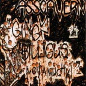  ASSCAVERN   GINGY BILLIGUS MOTAMUCHKI CD   1999 