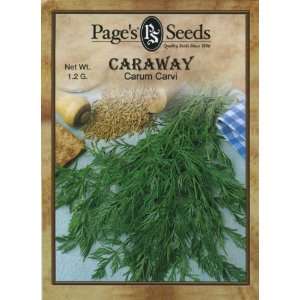  Caraway Patio, Lawn & Garden