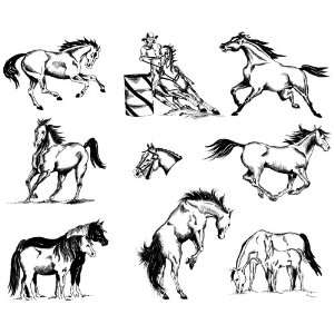  9 HORSES Horse PONIES Pony EQUINE Unmounted Rubber Stamps 