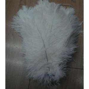  20 Pieces White Ostrich Feather 8 12 to Decorate Tower 