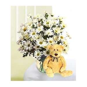 White Daisies and Bear