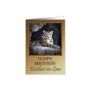  Brother in law, a snow leopard birthday card Card Health 