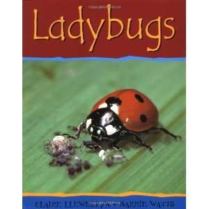  Ladybugs (Minibeasts) [Paperback] Claire Llewellyn Books