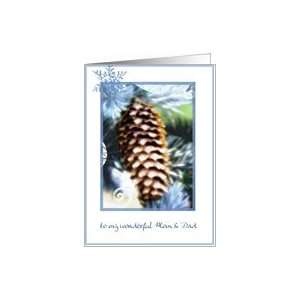  to my wonderful parents merry christmas pine tree cone 