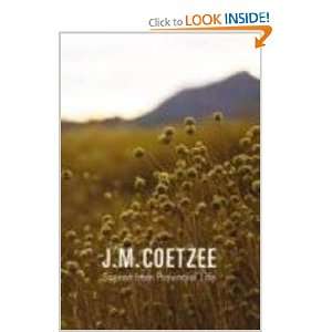  Scenes from Provincial Life (9781846554858) J. M. Coetzee Books