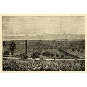 1890 Wood Engraving Gulf Plain Argos Tiryns Greece Landscape Harbor 