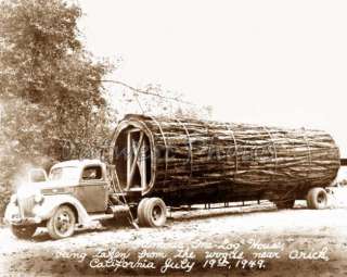 Photo Redwood Log House Moved by Logging Truck Orick CA  
