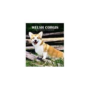  Welsh Corgis 2010 Hardcover Weekly Engagement Calendar 