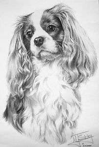 Custom CAVALIER KING CHARLES SPANIEL Pen & Ink Design Dog Breed T 