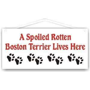 Spoiled Rotten Boston Terrier Lives Here