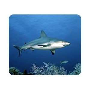  Shark Mousepad