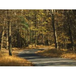  Forest Service Road Cuts Through George Washington National 