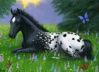 Appaloosa foal horse butterflies spring flowers limited edition aceo 