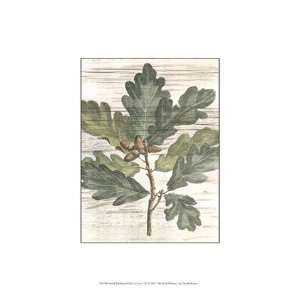   Weathered Oak Leaves I   Poster by Deshayes (9.5x13)