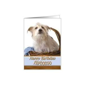  Alphonso Happy Birthday Fluffy Pup Card Health & Personal 