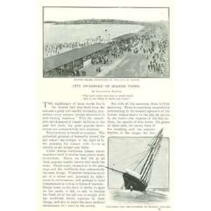  1902 City Ownership of Seaside Parks Revere Beach Atlantic 