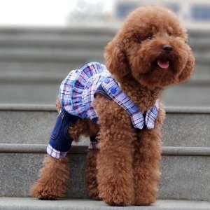   Strap Jeans for Dogs Clothing & Apparel by CET Domain