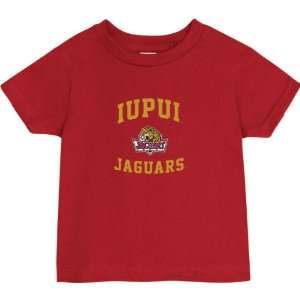  IUPUI Jaguars Cardinal Toddler/Kids Aptitude T Shirt 