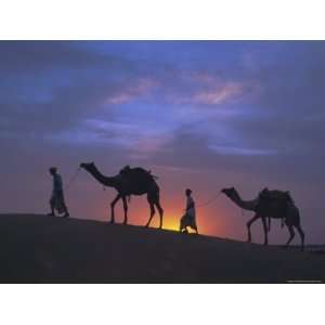 Camels Silhouetted Against the Sunset, Thar Desert, Near Jaisalmer 