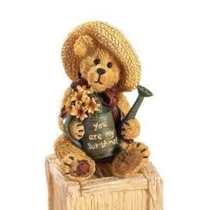  Boyds Bears by Enesco Collectible Sunny You Are My 