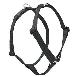  1/2 Black 9 14 Roman Harness