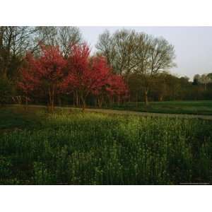  Spring View in Louisvilles System of Olmsted Parks and Parkways 