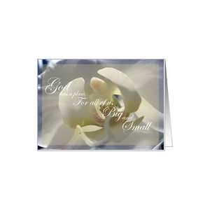 Loss of Premature Baby Sympathy White Orchid Card Health 