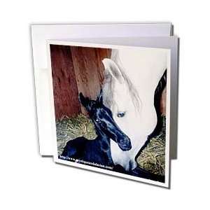 Horse   Andalusian Mare and Foal   Greeting Cards 6 Greeting Cards 