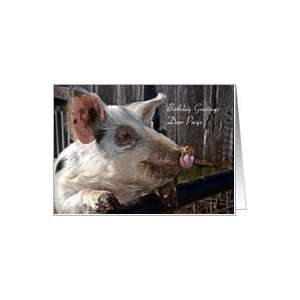  Birthday Name Paige   Animal Cute Pig Farm Rural Card 